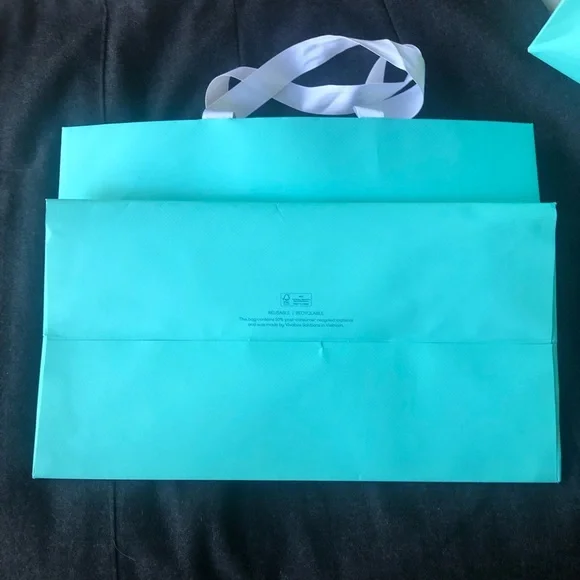 Tiffany & Co. Two large shopping bags and Landmark charm - Picture 12 of 12
